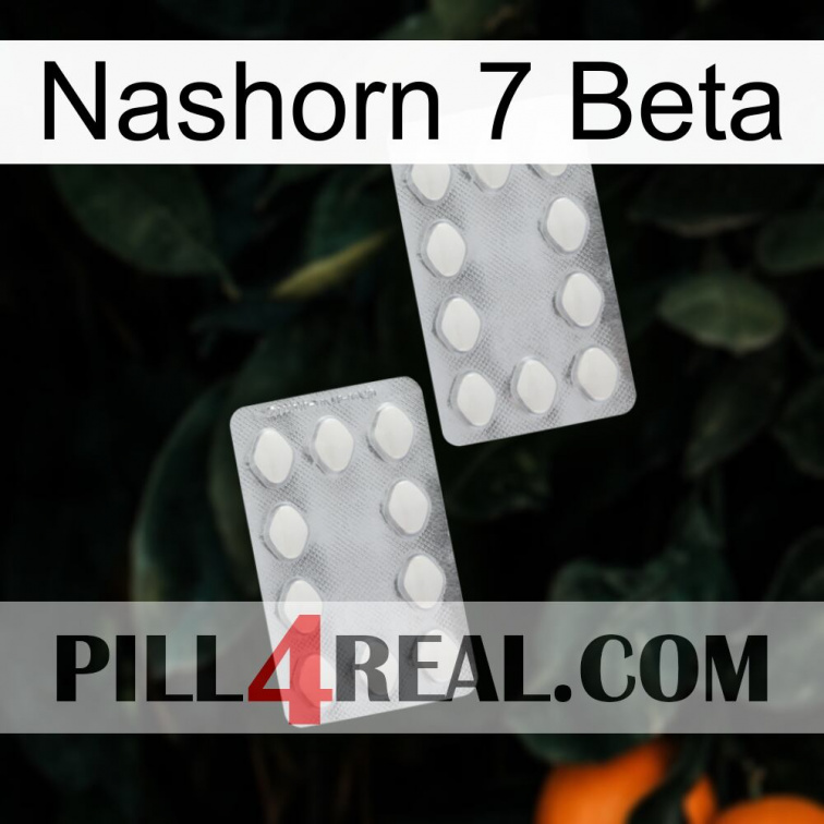 Rhino 7 Beta 17